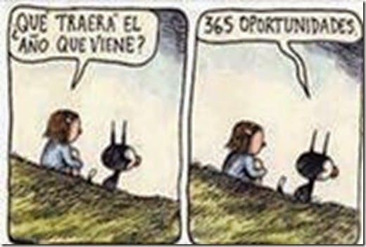 365 oportunidades