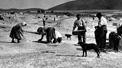 Resultado de imagen de mujeres en las faenas agricolas