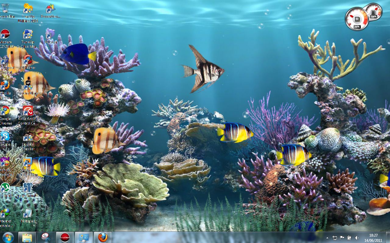 Download Wallpaper Aquarium 3d Bergerak Images Hewan Lucu