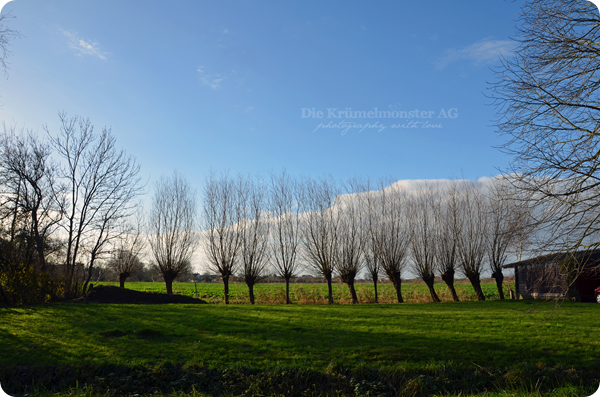Spaziergang durch Wremen 241113 (21)
