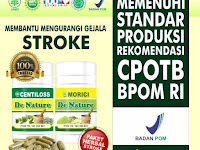 nama nama pengobatan herbal  stroke