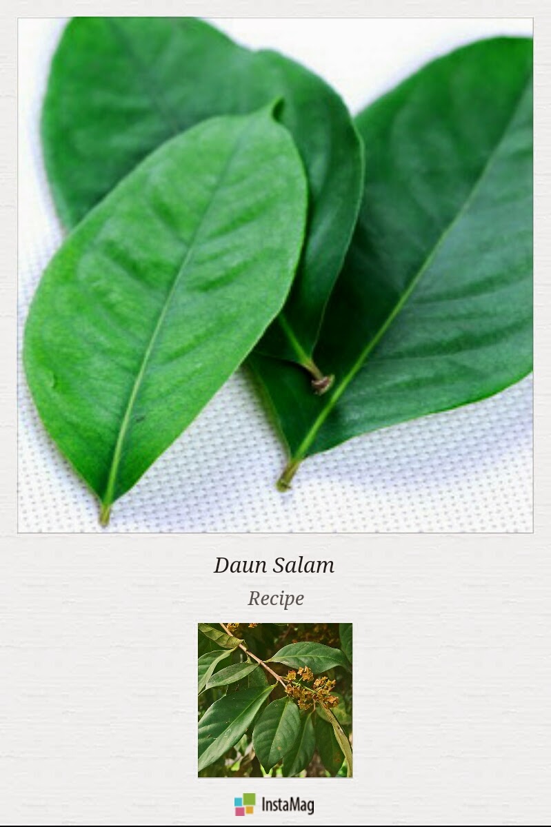 DaPuR UmMaHaT MENGENAL BUMBU DAPUR DAUN SALAM 