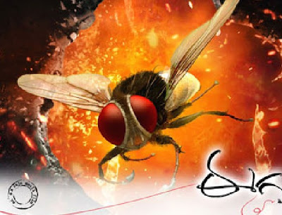 eega 1st day collections