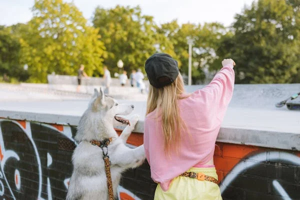 Some types of dogs that are susceptible to hip dysplasia-2