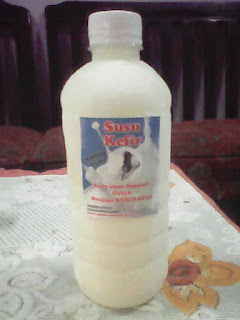 Susu kefir kambing etawa