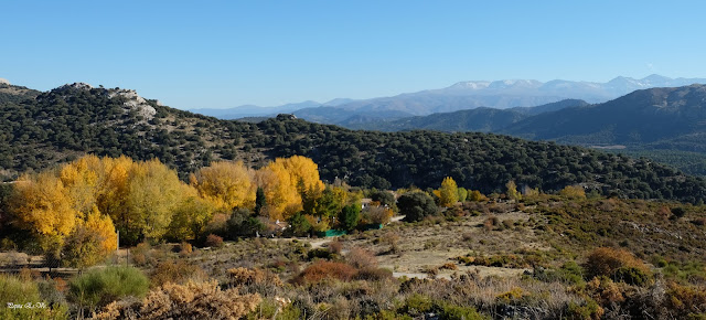 Prado Negro, Sierra Arana