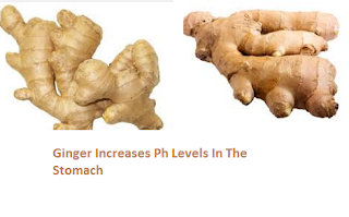 Ginger Increases Ph Levels In The Stomach: