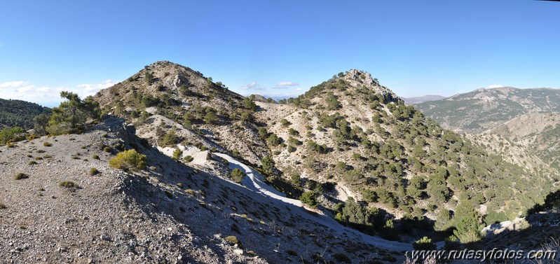 Trevenque - Cerro del Cocón - Cerro Gordo - Pico de la Carne