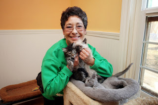 Esta mujer vive con más de 1000 gatos