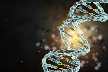 ما هو سبب تسمية الحمض النووي DNA ؟