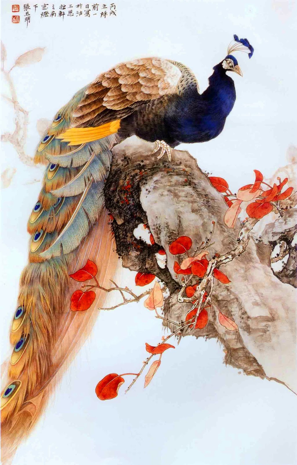  Lukisan Burung Merak  Yang Menarik Scripters News
