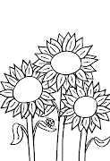 desenhos para colorir flores