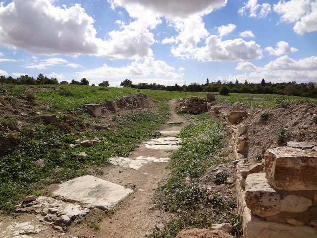 site archéologique de Makthar