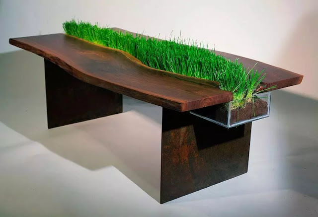 Meja ditengahnya ada rumput