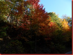 SAM_3732