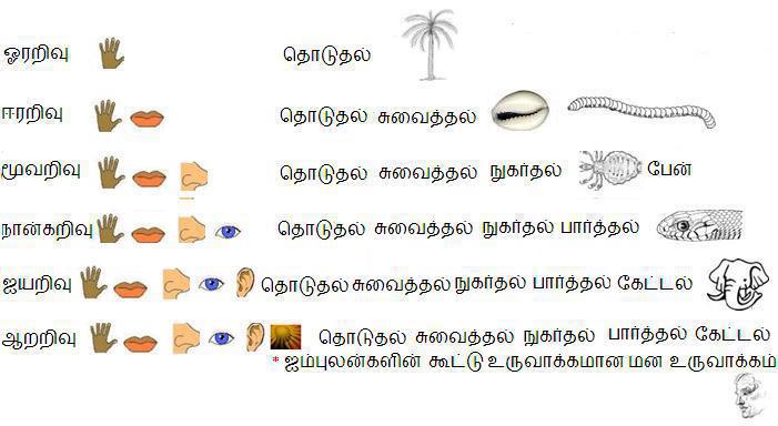 Image result for ஒன்று அறிவதுவே உற்று அறிவதுவே