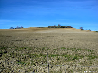 Cinigiano in provincia di Grosseto