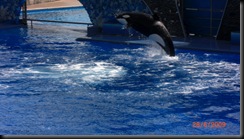 Florida 2009 178