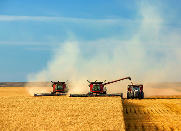 North American Agriculture