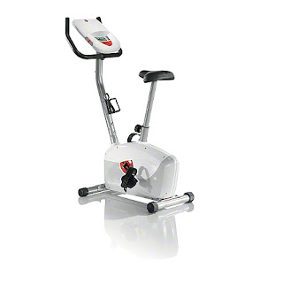 Schwinn A10 Upright Bike