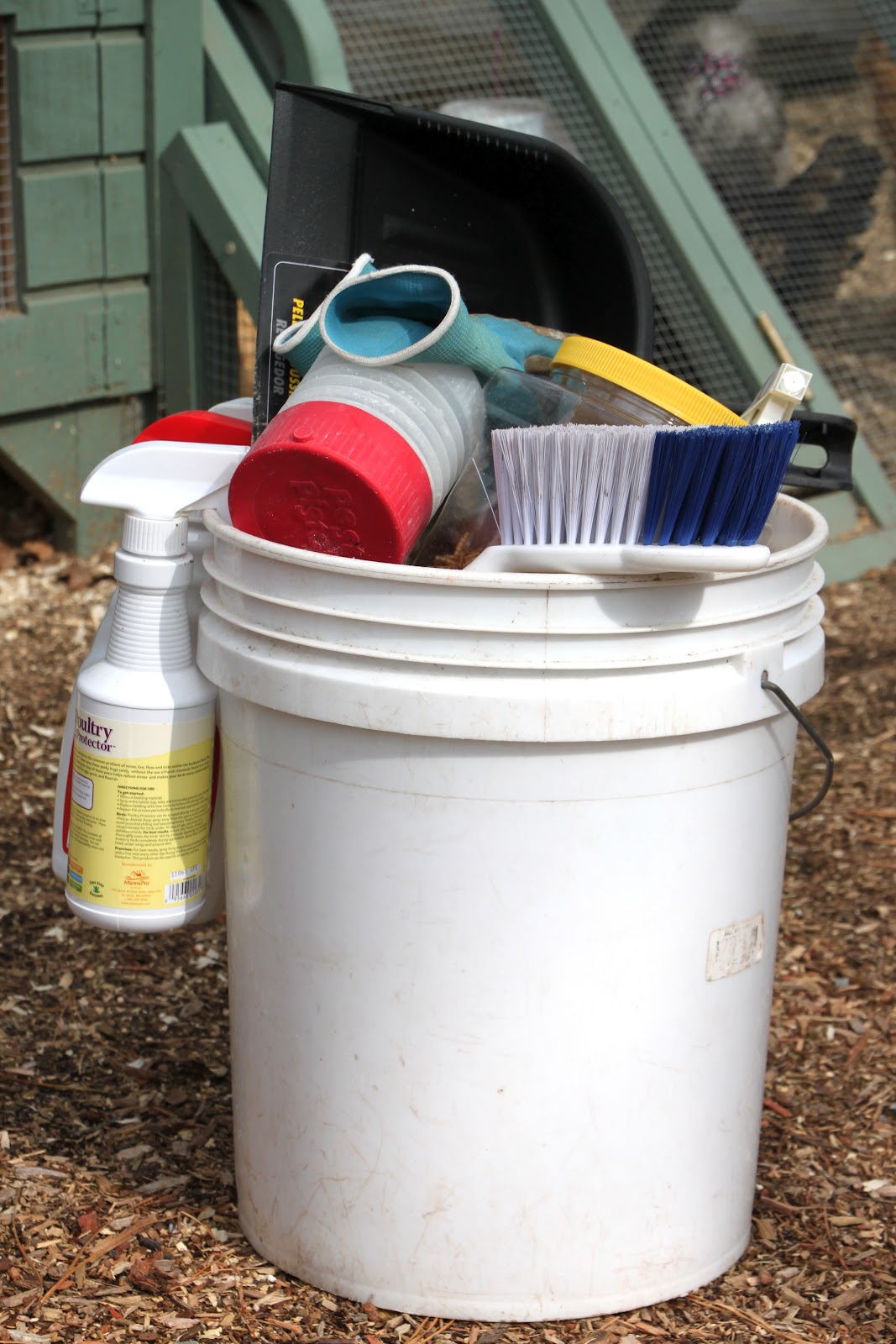 Tilly's Nest: How To Clean the Chicken Coop