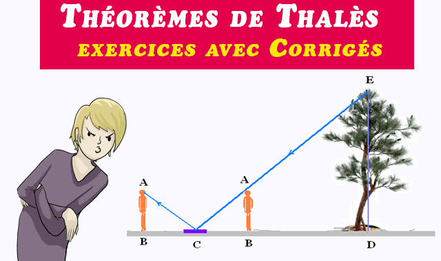 Théorèmes de Thalès de 3 éme Anne collège ( exercices avec Corrigés )