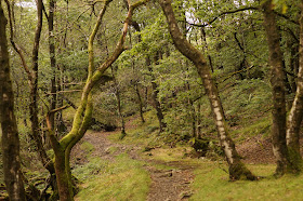 Henrhyd falls and Nant Valley walk to Abercraf