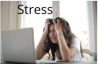 Top 10 lose weight ideas  (Do not take stress)