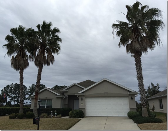 fl house with tall palms