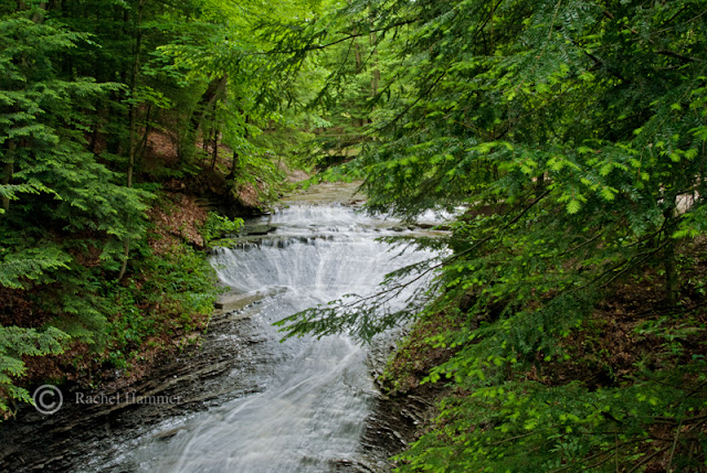 best hikes cleveland ohio