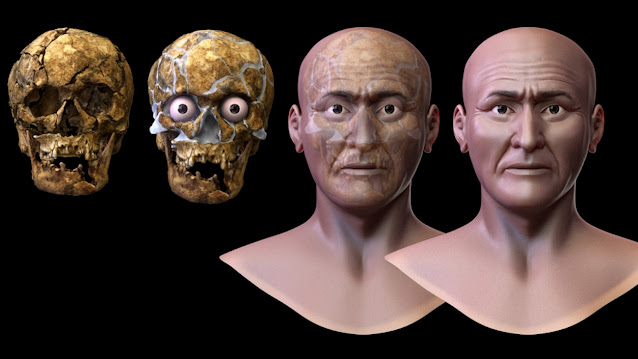 Реконструкция лица, выполненная с помощью исследования ДНК