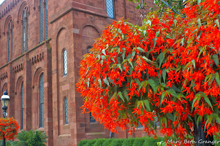 Smithsonian Castle in Washington, DC photo by mbgphoto