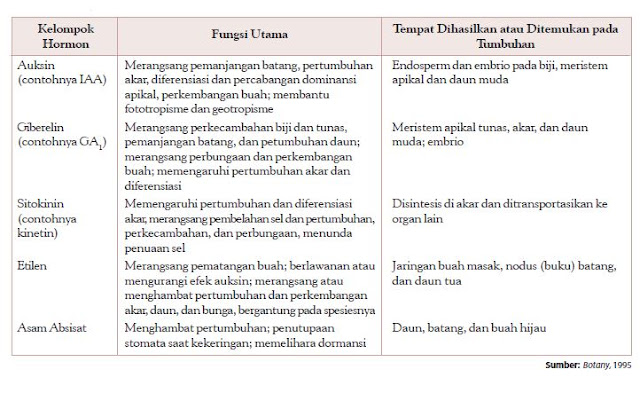 Faktor internal yang memengaruhi pertumbuhan dan perkembangan tumbuhan