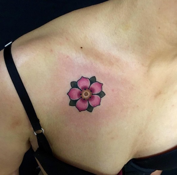 Esta flor de cerejeira com folhas