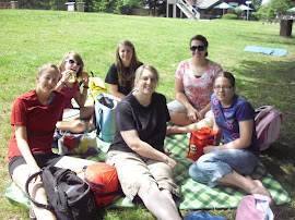 Picnic Lunch