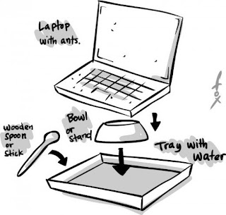 Cara Mengatasi Semut Dalam Laptop