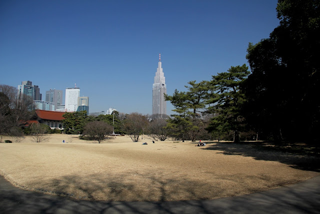 日本 東京 明治神宮