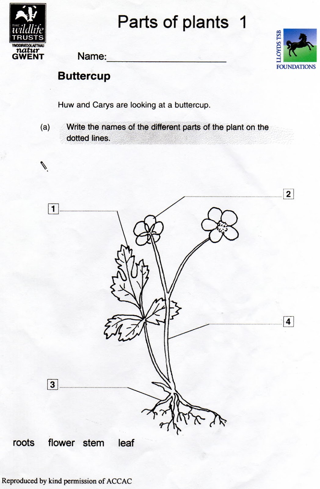 Arab Unity School | Grade 1 C | Blog: Science - Parts of a ...