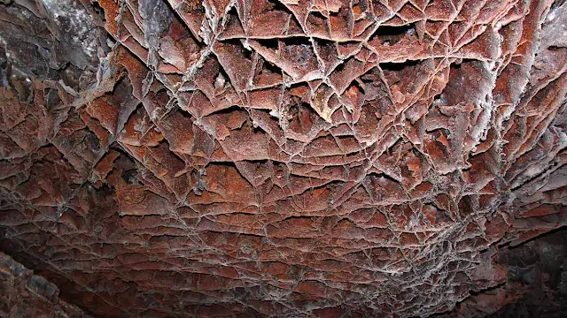 Boxwork on a cave’s ceiling at Wind Cave National Park in South Dakota