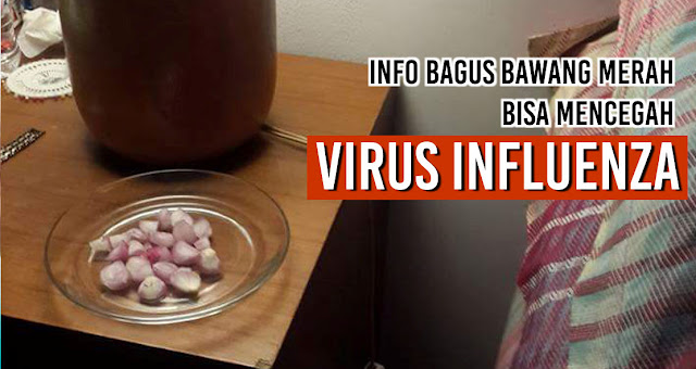 Info bagus Bawang Merah bisa mencegah virus influenza