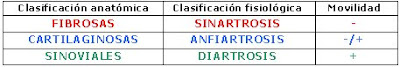 Clasificación de las articulaciones