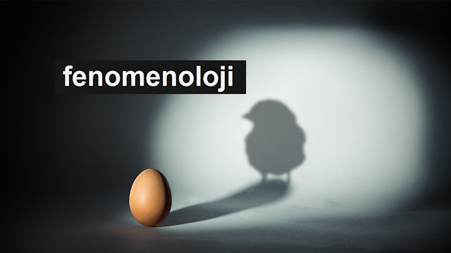 fenomenoloji