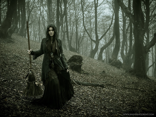 Witch into the woods with a Raven Broomstick