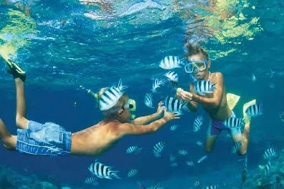 snorkeling for kids