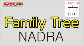 How to get family tree from Nadra in 2023