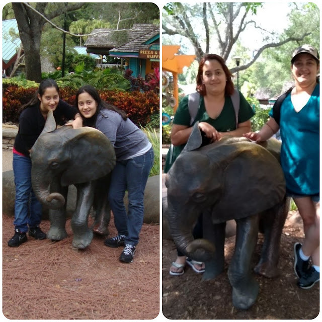 Busch Gardens em 2013 e em 2018.