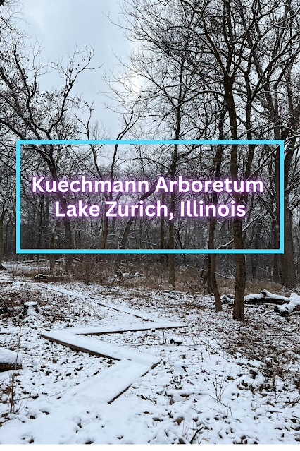 Winter Wonderland at Kuechmann Arboretum and Kuechmann Kove in Lake Zurich, Illinois