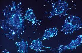 What is Cancer,  Cancer Reasons and  Its Cautions.
