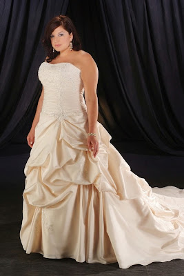 Champagne Wedding Dresses Plus Size