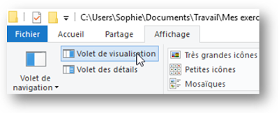 sb astuces - Windows -  volet de visualisation 2